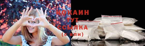 соль ск Козельск