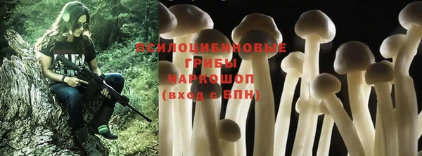 apvp Киренск