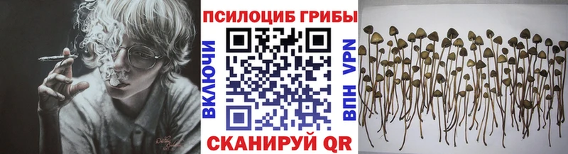 mega ТОР  Кубинка  Галлюциногенные грибы Psilocybe  цены наркотик 