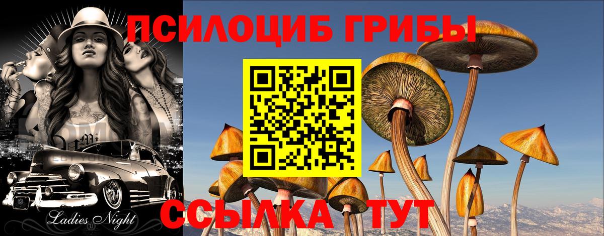 ГАШ Кубинка