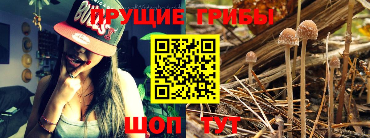 Галлюциногенные грибы MAGIC MUSHROOMS Кубинка