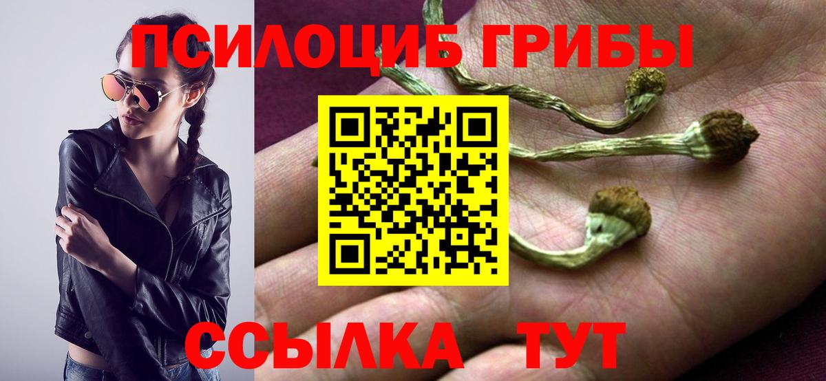 Кубинка  Псилоцибиновые грибы Cubensis  Вход с VPN 